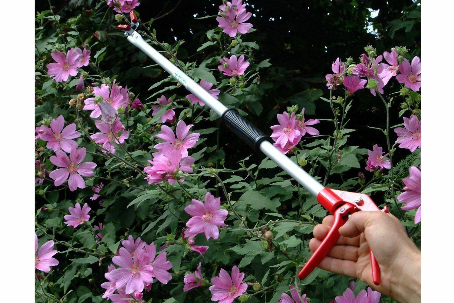 Darlac Snapper Long Reach Pruner DP110-1000 - Image 2