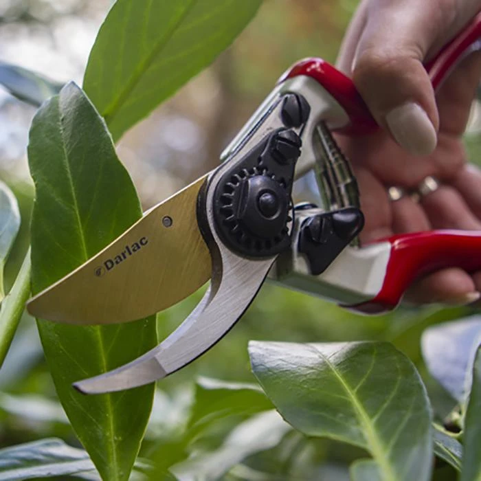 Darlac Expert Titanium Pruner - DP1038 - Image 2