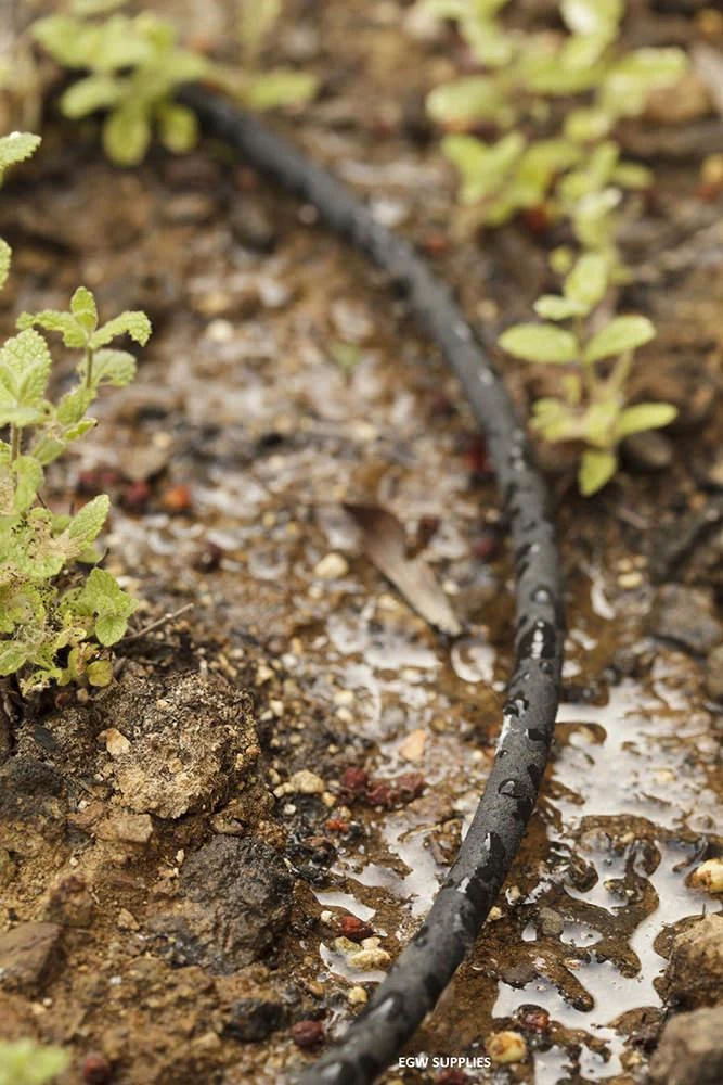 4mm Micro Soaker Hose - 100 Meter - Image 3